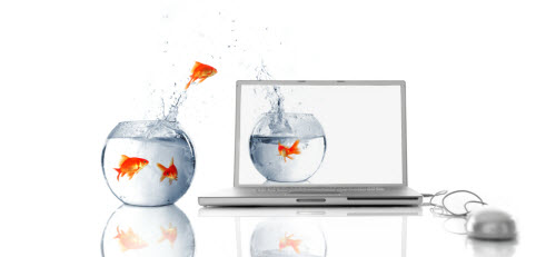 fish tank to computer