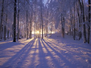 winter_solstice