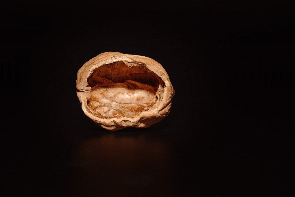 open_walnut