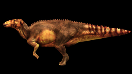 Hadrosaur