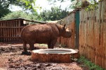 RT @DSWT: Happy Tuesday from a mud caked Maxwell….
