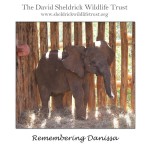 RT @DSWT: We are saddened to share the news that D…