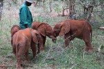 RT @DSWT: 4 little reasons why we’ll never give up…