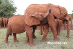 RT @DSWT: #moments 9: We helped Dupotto overcome h…